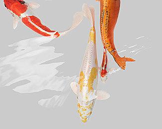 Switch 2游戏聊天功能介绍 最多支持12人